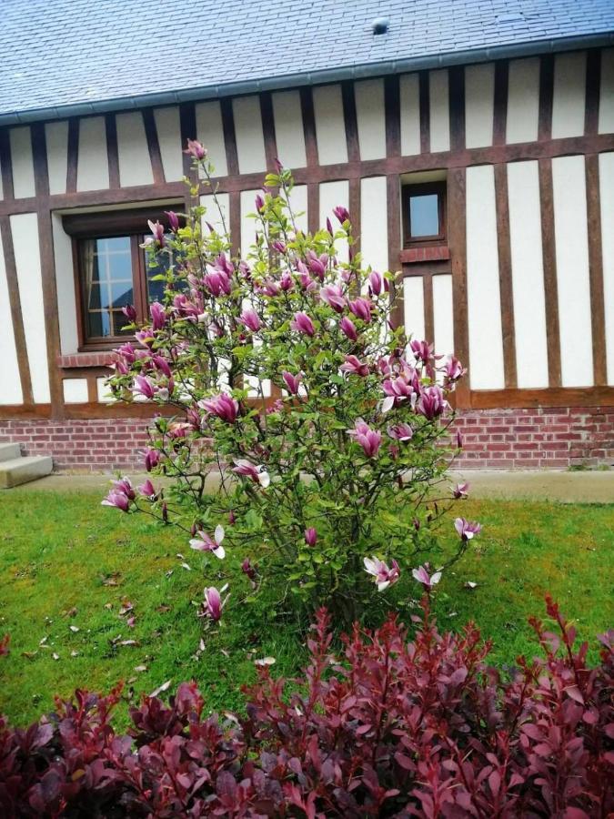 Wijitta Auquemesnil Exterior foto
